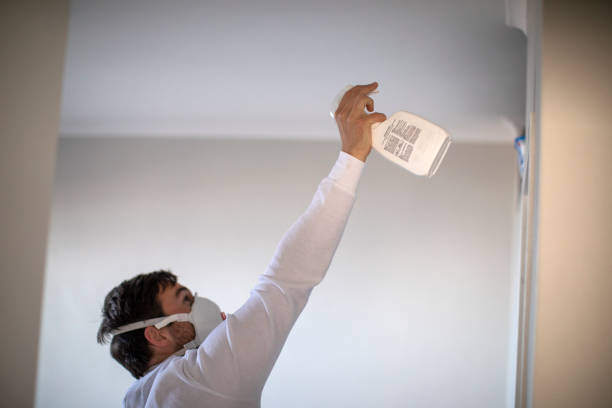 Best Mold Cleaning Services  in Harlan, IA